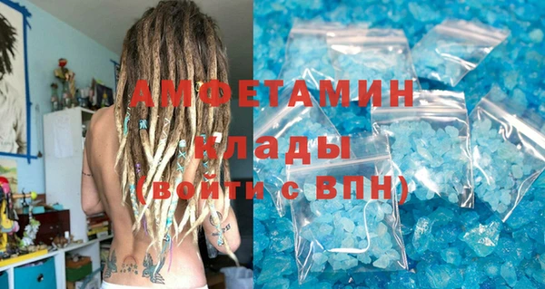 шишки Гусиноозёрск