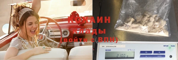 a pvp Яровое
