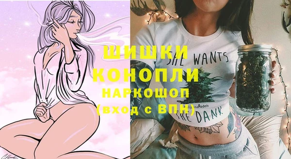 МДПВ Ленск